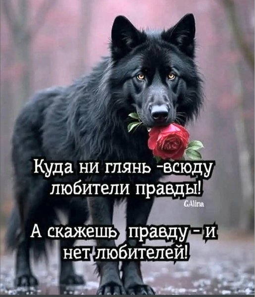 file_101104008