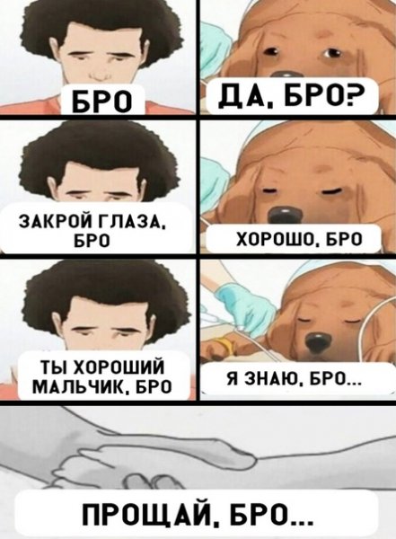 file_89191612