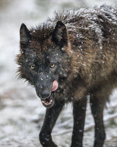 Adfb7aa8903c81c76f21f5c07ae299e3