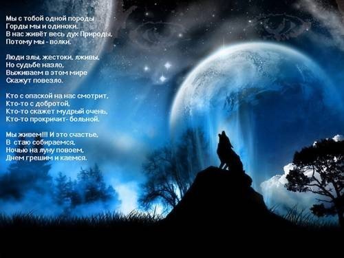 Волк воет на луну..
