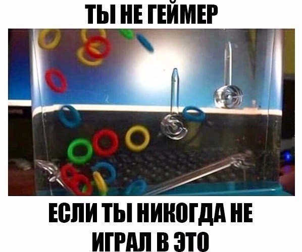CMd1062whnQ