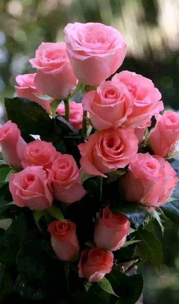 FB IMG 1714515225647