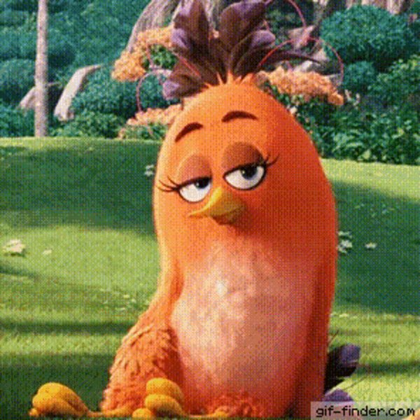 Bird