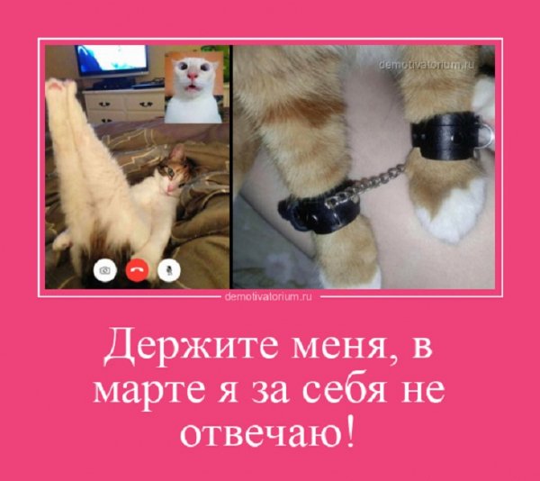 В Марте я за себя не отвечаю