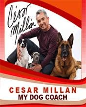 Мой Собачий Тренер