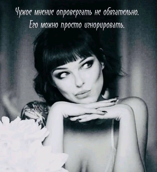 file_101159031