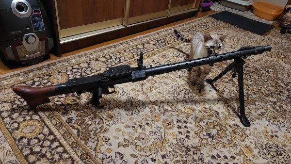 МГ-34 Д(Copy) (7)