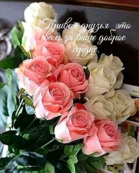 1TOHSvxE26c