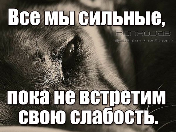 IMG 20190720 212315
