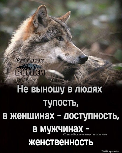09TlNZa9Njc8