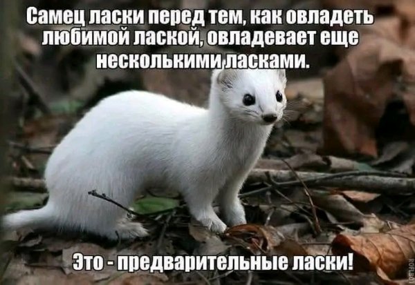 file_100870965