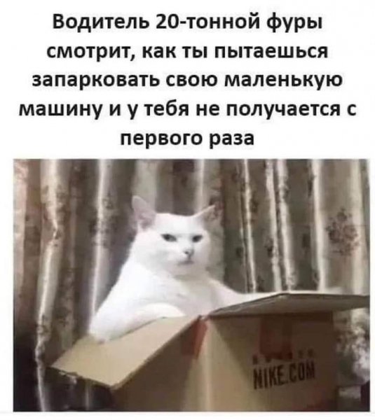 FB IMG 1730318772582