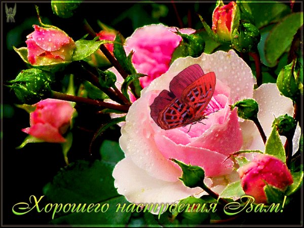 IMG 20160606 111405 1