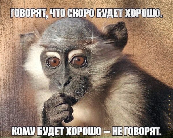 IMG 20210727 065803