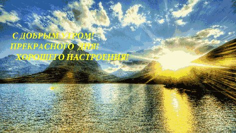 a3d55175804f64179e07e833278ff