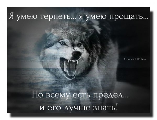 image (41)
