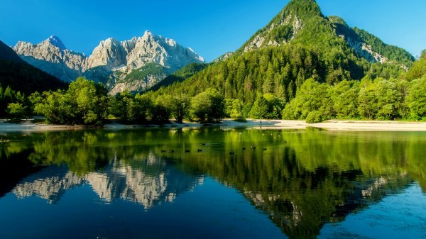 file_100853590