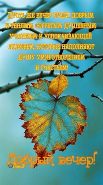 file_95008810