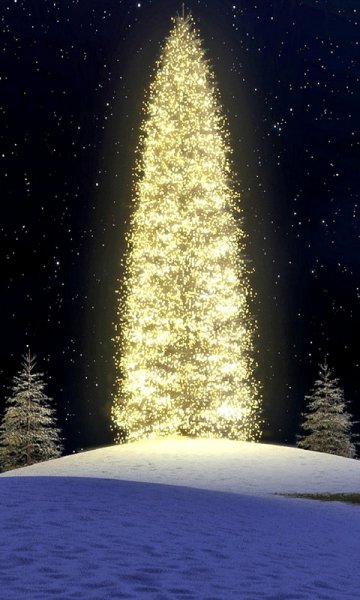 Merry Christmas-----wallpaper-11128520
