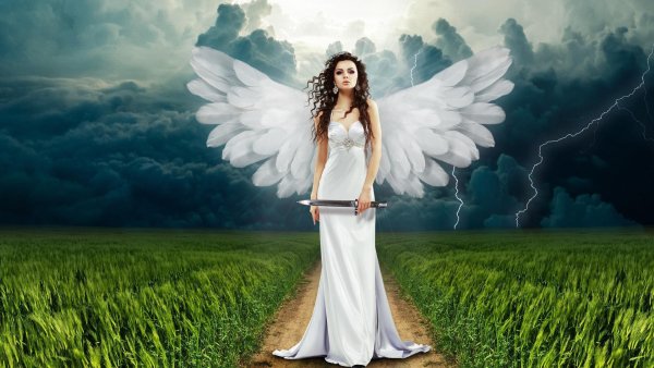 4в (3991) (Copy) (Copy)