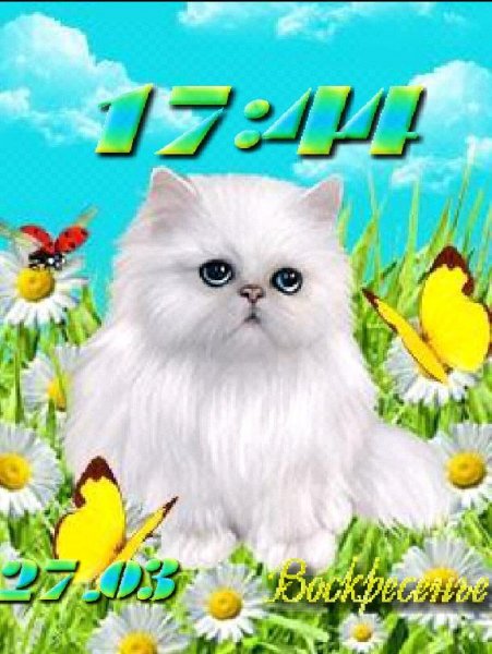 Котенок в ромашках