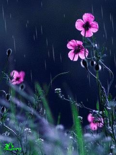 file_59339541