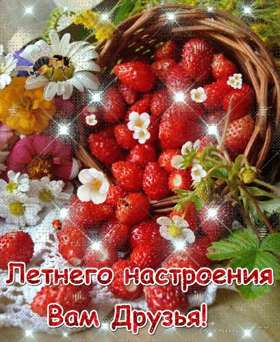 file_73862160