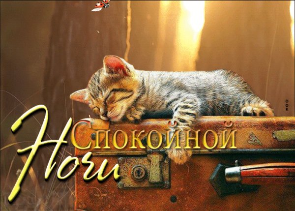 Спокойной ночи