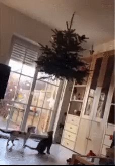 Ага! Нашли хозяева выход!
