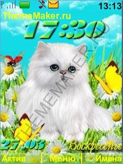 котенок