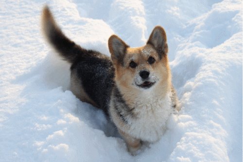 file_56648824