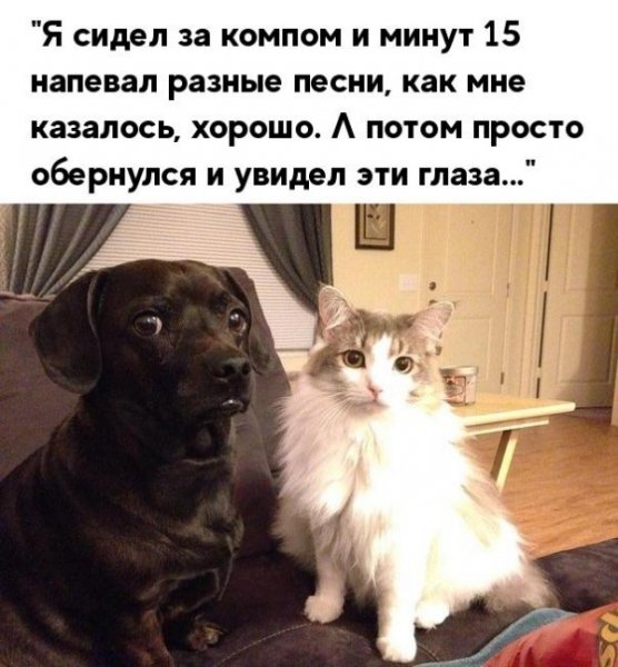 file_76792389