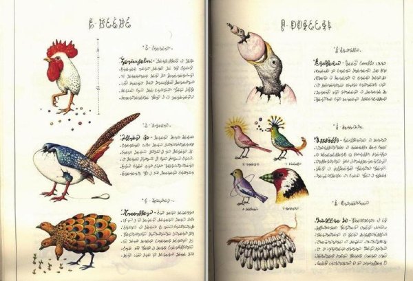 "Кодекс Серафини". Самая странная книга в мире