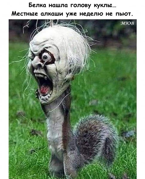 FB IMG 1775992118261