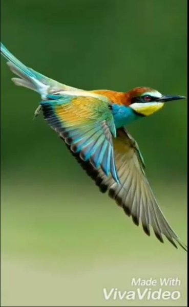 2.IMG 20170415 001
