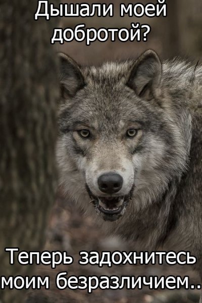 Хорошо сказано