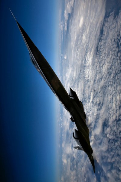 file_80683502