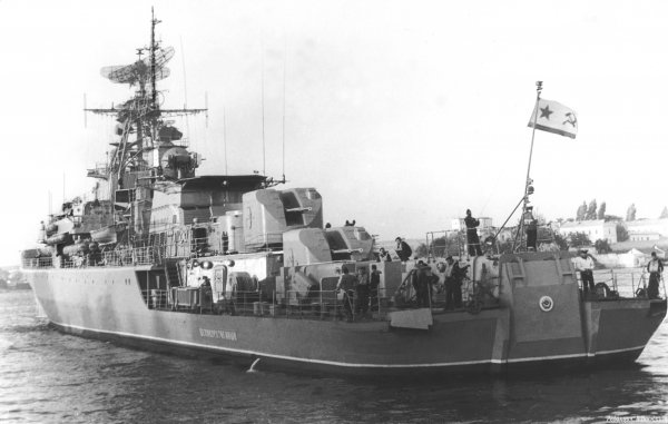 IMG viter59 bezukoriznennyi