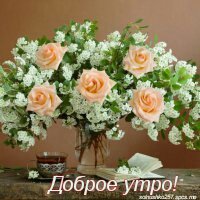 IMG 20180822 215828