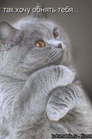 Буду нежностью