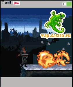 Terminator Revenge