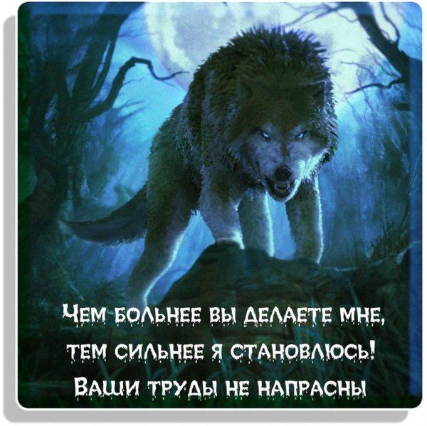 Ценю ваш труд