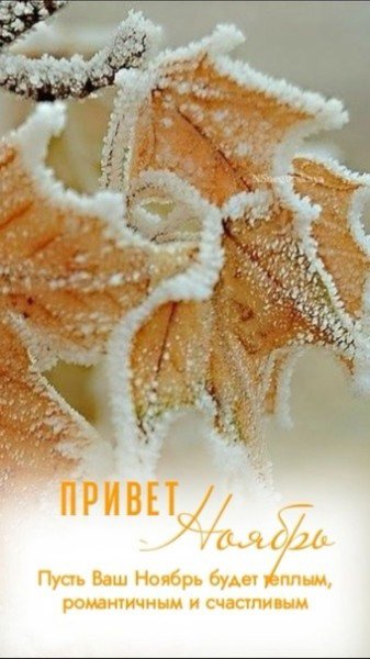 file_94942884