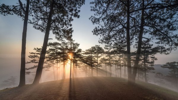 file_93488019