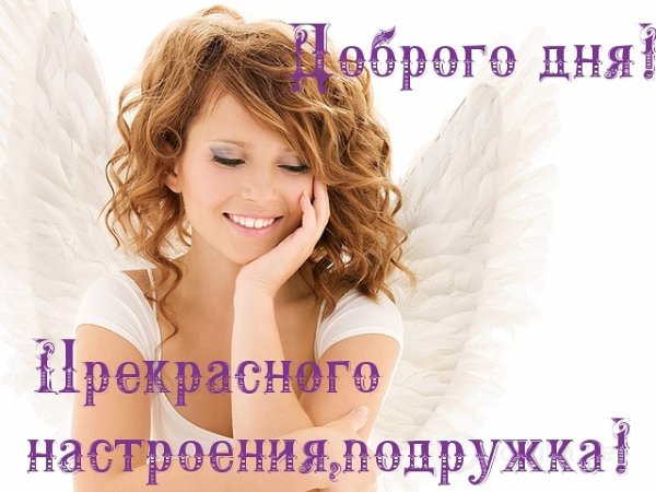 IMG 20181214 114300