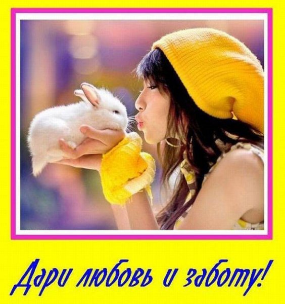 Дари любовь и заботу!