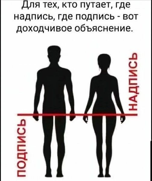 FB IMG 1777724733780