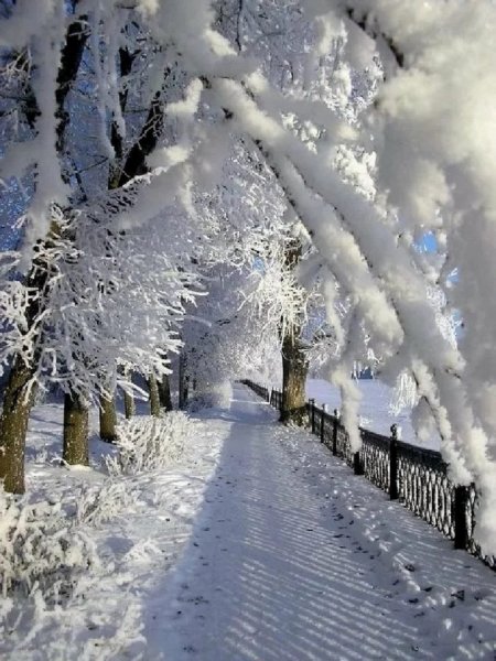 Зимняя красота