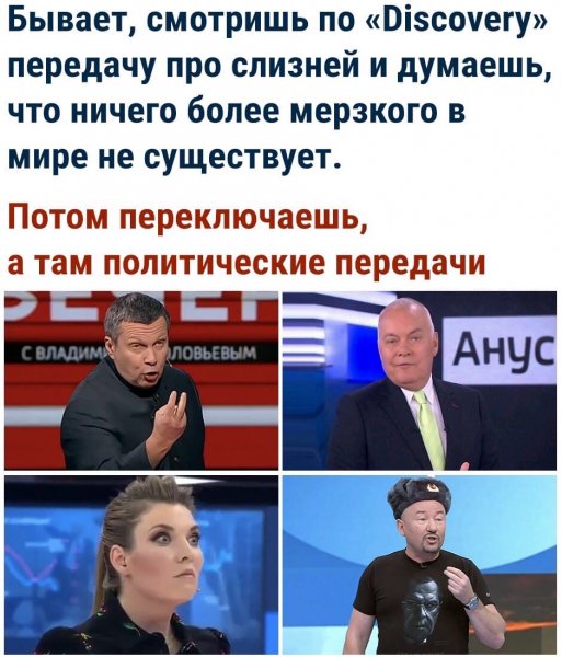 Политика и слизни