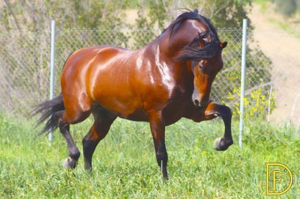 getImage 7